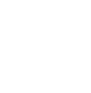 Recimpex logo blanco